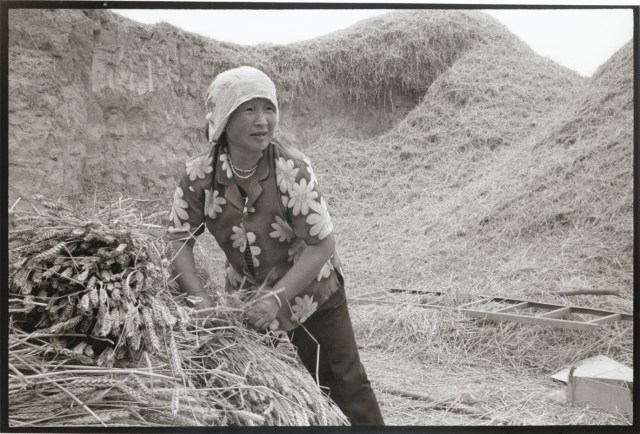 Woman with Wheat
