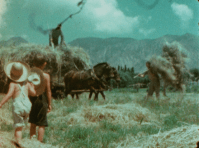 Screen Shot 2019-05-11 at 12.52.33 PM